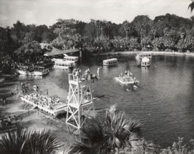 Vue panoramique de Silver Springs en Floride