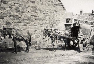 Chine, charette attelée, à Pékin