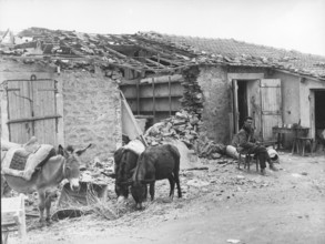 A village in ruins during the war in Algeria (1956)