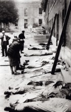 Hostages shot with machine guns at the Fort de Vincennes, near Paris