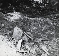 Atrocities during the War in Algeria