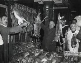 Le premier gibier de l'année aux Halles à Paris