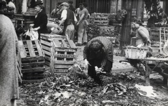 Femme ramassant les ordures laissées par le marché