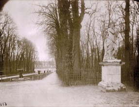 Atget, L'Allée d'eau à Versailles