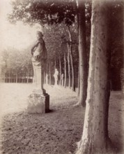 Atget, Parc du Château de Versailles