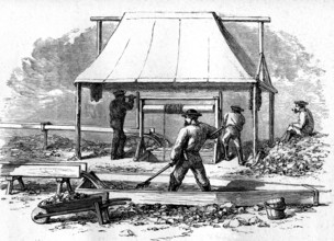 Extraction et lavage de l'orn 1866