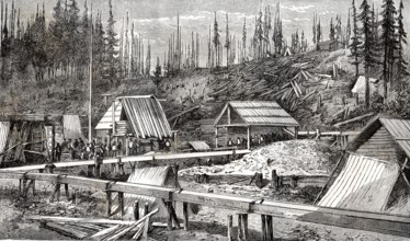 Gisement d'or de Cameron au Canada, 1866