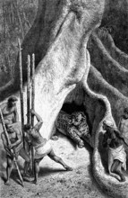 Chasse au jaguar au Panama