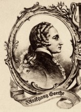 Portrait of Goethe
