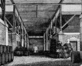 Un cellier de la Halle aux vins à Paris en 1882