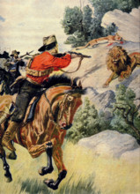Chasse au lion dans la Transvaal