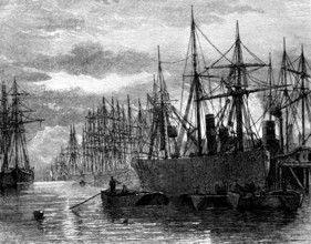 Ships unloading coal at the London docks - 19th century