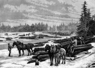 Bûcherons au Canada