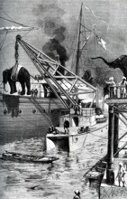 Armée des Indes britanniques