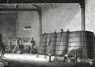 CLOS VOUGEOT, cellier et pressoir bourguignon en 1876