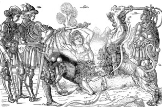 Combat de deux Centaures