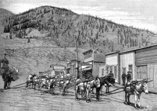 Débuts du chemin de fer aux USA