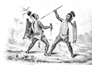 Guerriers d'Ombay, Archipel des Moluques, INDONESIE