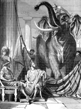 L'éléphant du roi grec PYRRHUS