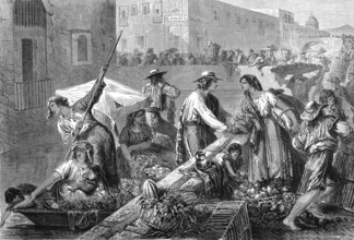 Marché du pont à MEXICO