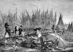 Récolte du houblon en Alsace en 1876