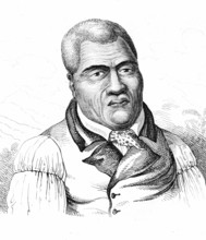 Tamea Mea roi de Hawaï-1834