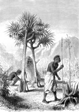 Gardes champêtres à l'ile de LA REUNION