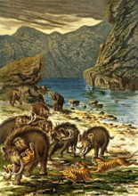 MAMMOUTHS, Préhistoire