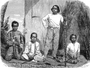 Indiens et Nègres de l'île de La Réunion