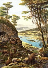 Ours des cavernes, Préhistoire