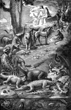 Préhistoire- Ascension de la Vie