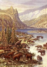 Préhistoire, Epoque Tertiaire