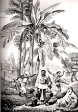 Pénitents de l'INDE