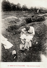 Poilu cherchant ses poux