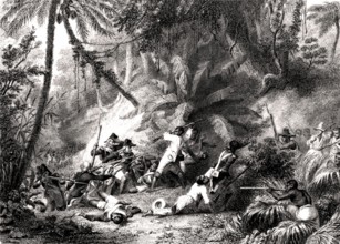 Bataille à Saint DOMINGUE en 1802