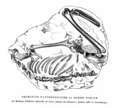Anthropolithe skeleton or fossil man. From " The Universe before mankind " by M. Boitard.
Paris