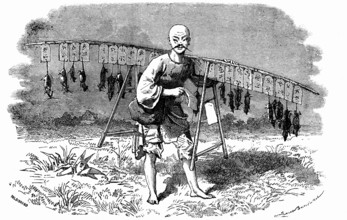 Rat killer in China.Design by Emile Bayard
1873                ( Le Tour du Monde 1873