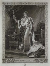 Baron Gérard, Napoleon I in coronation robe