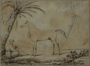 Vernet, Tauris, cheval de l'Empereur à la bataille de Waterloo