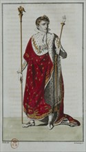 Napoleon I in coronation robe (1805)