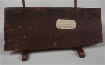 Fragments of Napoleon I's coffin