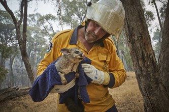 Australia's bushfires continue to burn