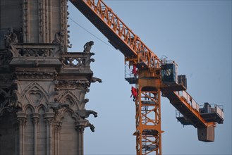 Les travaux de confortement de Notre-Dame de Paris après le grand incendie du 15 avril 2019