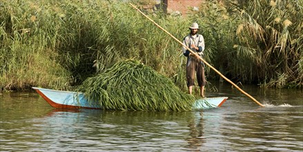 Transport des récoltes agricoles sur le delta du Nil