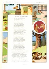 Benjamin Rabier, illustration des Fables de La Fontaine, le loup, la poule et le renard (1906)