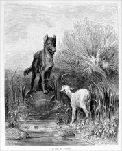 Gustave Doré , illustration des Fables de La Fontaine : le Loup et l'agneau