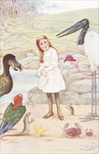 Alice au pays des merveilles, illustration de Sowerby