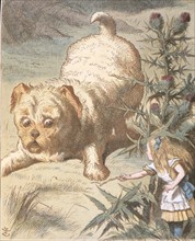 Alice in Wonderland, picture by Sir John Tenniel