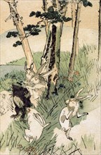 Fables choisies de Florian, série 1 : "La taupe et les lapins"
