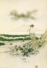 'Fables choisies de Florian, série 2', illustrated by Japanese artists